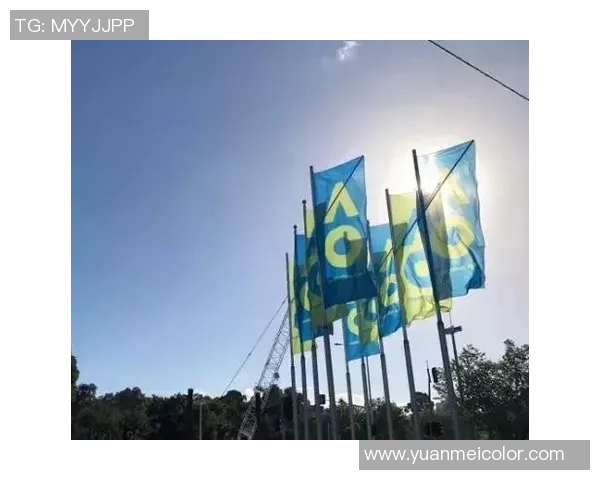 卡洛维奇与奎瓦斯激战正酣谁将晋级下一轮比赛的巅峰对决