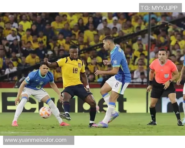 阿根廷与厄瓜多尔2018年精彩对决回顾与分析