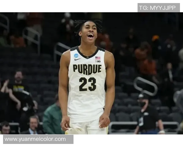 杰登艾维：新生代篮球明星的崛起与未来展望